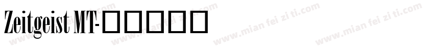 Zeitgeist MT字体转换